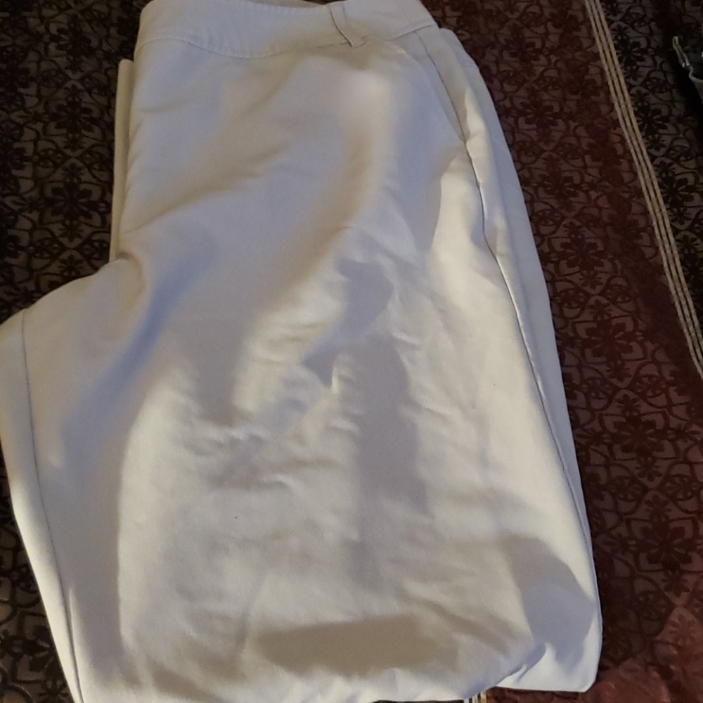 Dress pants